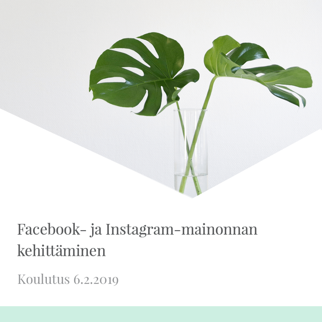 Facebook- ja Instagram-mainonnan kehittäminen Facebook- ja Instagram-mainonnan kehittäminen